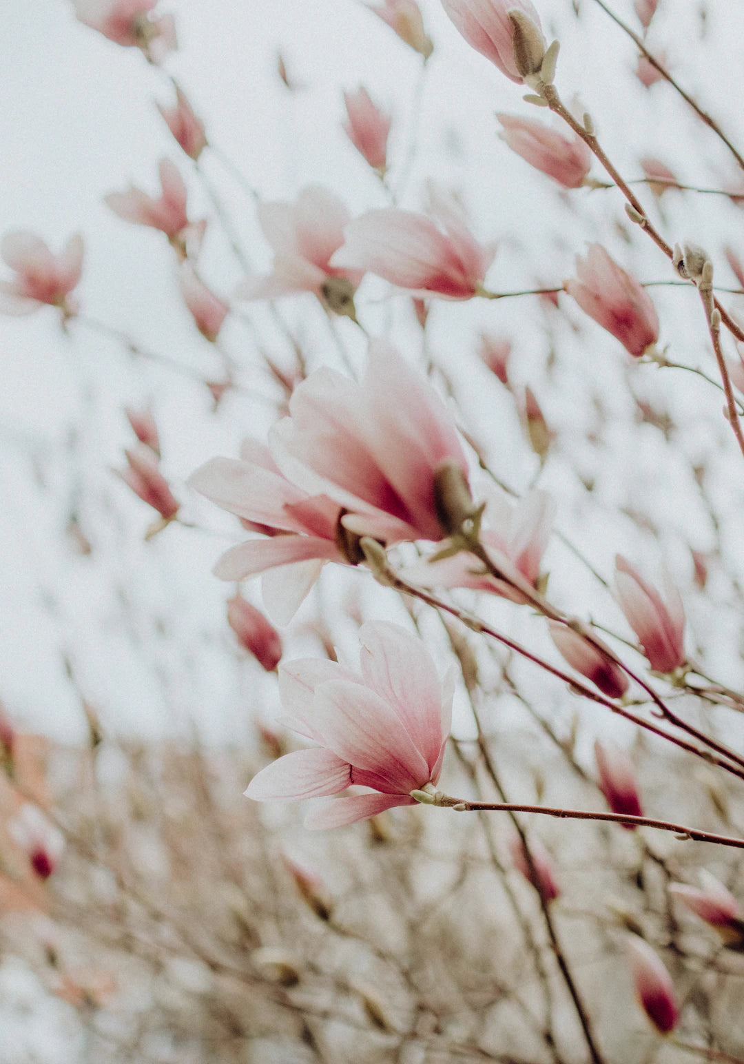Seasonal Pleasure Best Practices for Year-Round Enjoyment